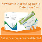 Cartão de teste rápido de anticorpos do vírus da doença de Newcastle fornecedor